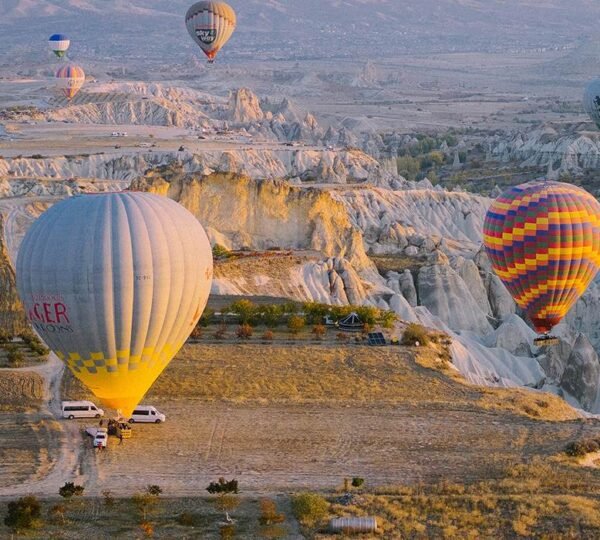 RAJAT SOOD LIVE India Tour